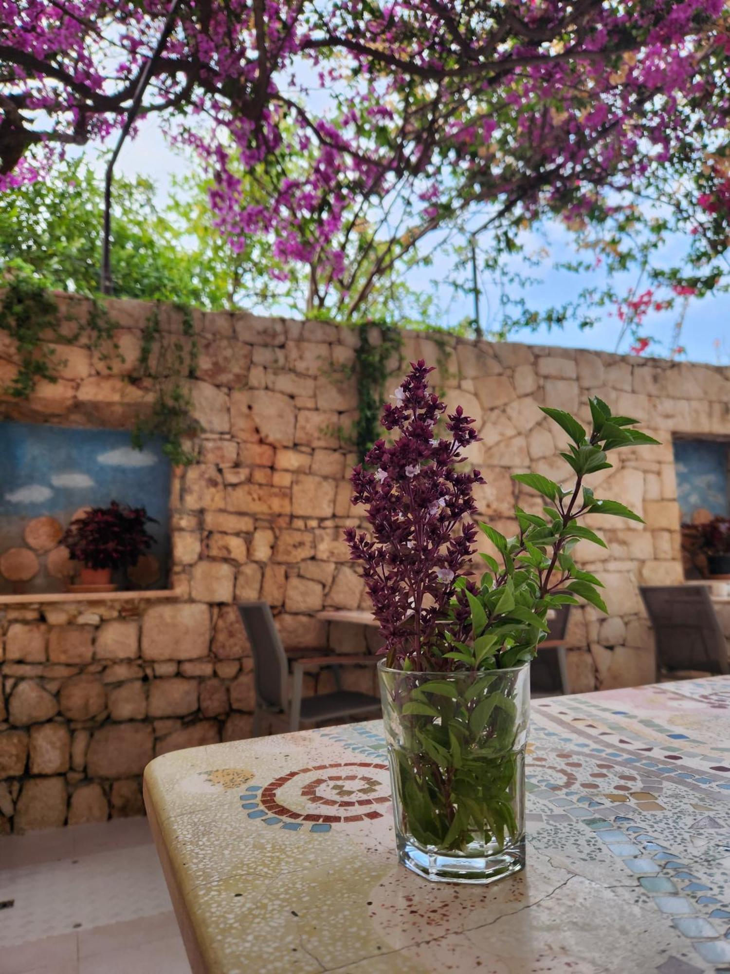 Hotel Begonvil Kaş Eksteriør billede
